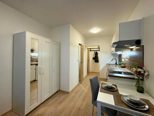 Pronájem bytu 1+kk, Brno, Francouzská, 22 m2