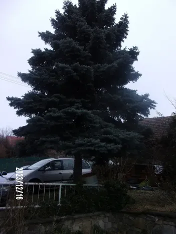 Prodej podílu rodinného domu, Zlín, Václavská, 400 m2