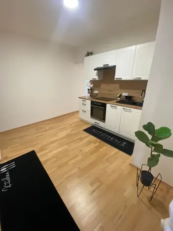 Prodej bytu 2+1, Praha - Staré Město, Náprstkova, 73 m2