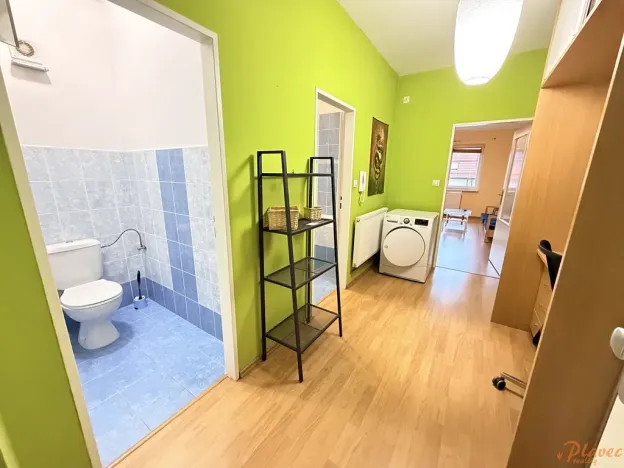 Pronájem bytu 1+kk, Holubice, Buková, 40 m2