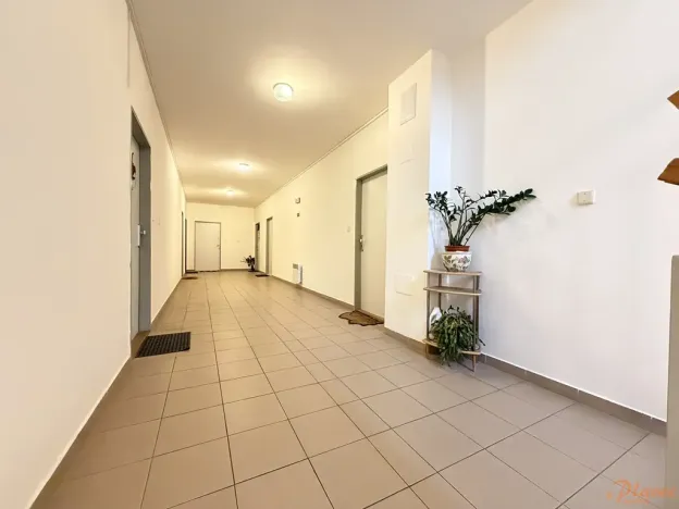 Pronájem bytu 1+kk, Holubice, Buková, 40 m2