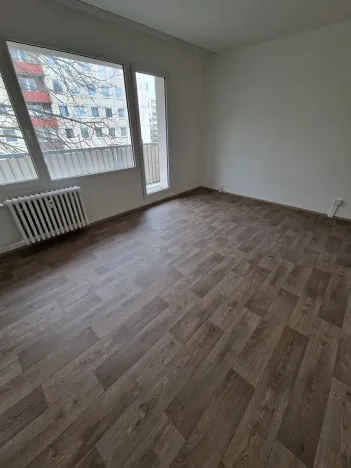 Pronájem bytu 4+1, Ústí nad Labem, Dr. Horákové, 88 m2