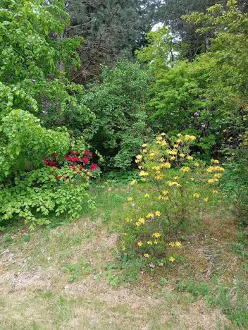 Prodej rodinného domu, Drslavice, 86 m2