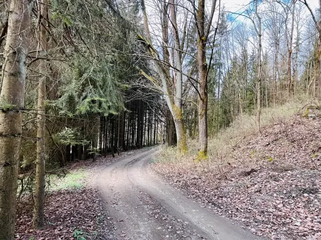 Prodej chalupy, Rychnov u Jablonce nad Nisou, 160 m2