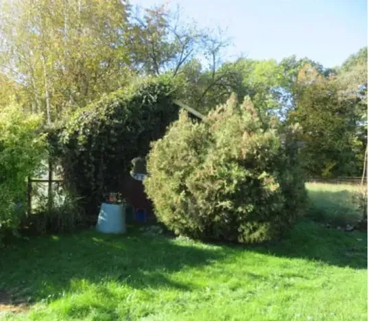 Dražba zahrady, Studénka, 1573 m2