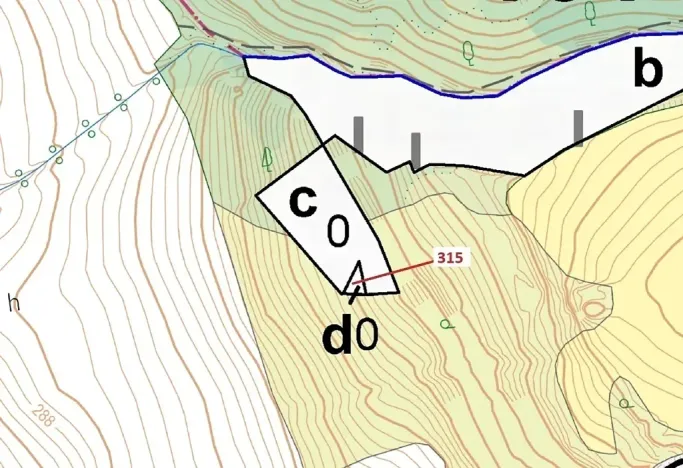 Dražba lesa, Podhořany u Ronova, 129 m2