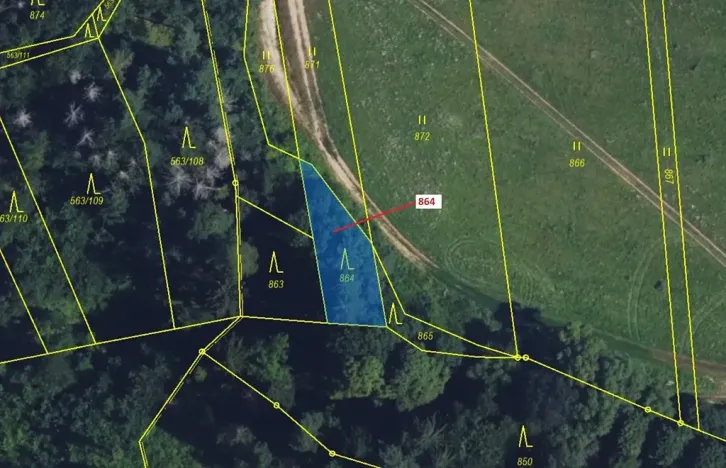 Dražba lesa, Spešov, 297 m2