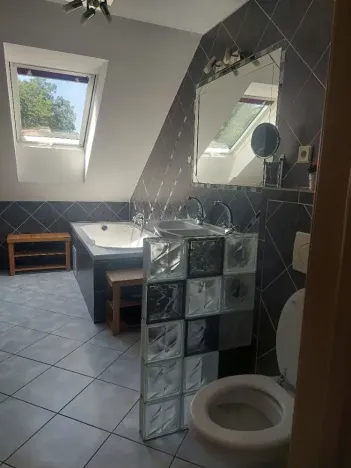 Prodej rodinného domu, Kynšperk nad Ohří, Sokolovská, 508 m2