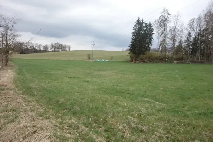 Prodej louky, Cheb, 5828 m2