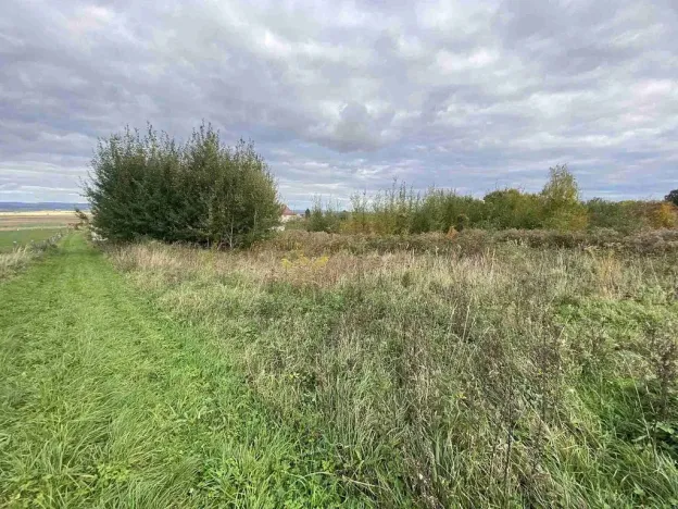 Prodej pozemku, Javorník - Horní Hoštice, 1773 m2