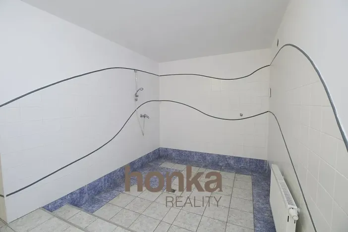 Pronájem rodinného domu, Praha - Jinonice, Souběžná I, 310 m2