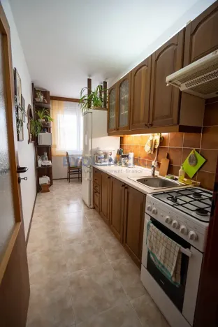 Prodej bytu 2+1, České Budějovice, Větrná, 57 m2