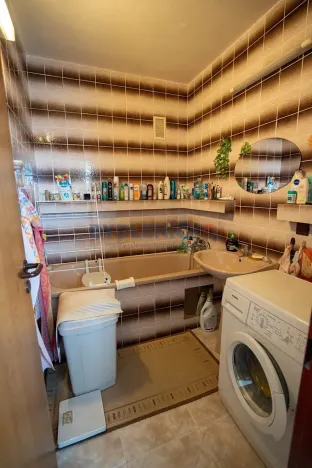 Prodej bytu 2+1, České Budějovice, Větrná, 57 m2