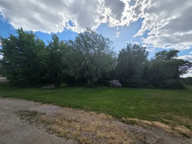 Prodej lesa, Cvrčovice, 4746 m2