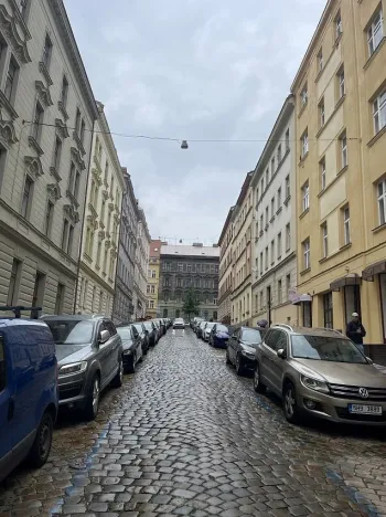 Pronájem ostatní, Praha - Vinohrady, Rybalkova