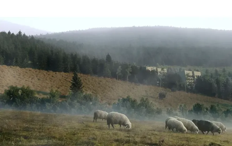 Prodej rodinného domu, Ostružná, 45 m2