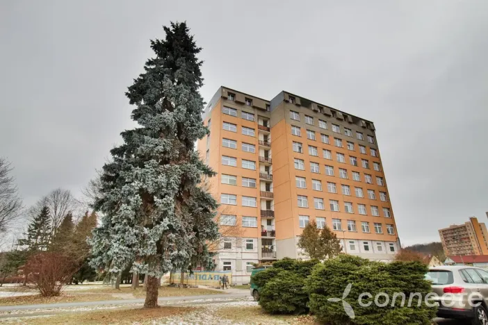 Prodej bytu 2+kk, Zruč nad Sázavou, náměstí Míru, 36 m2