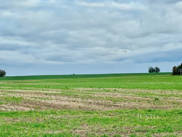 Prodej pole, Černuc, 7167 m2