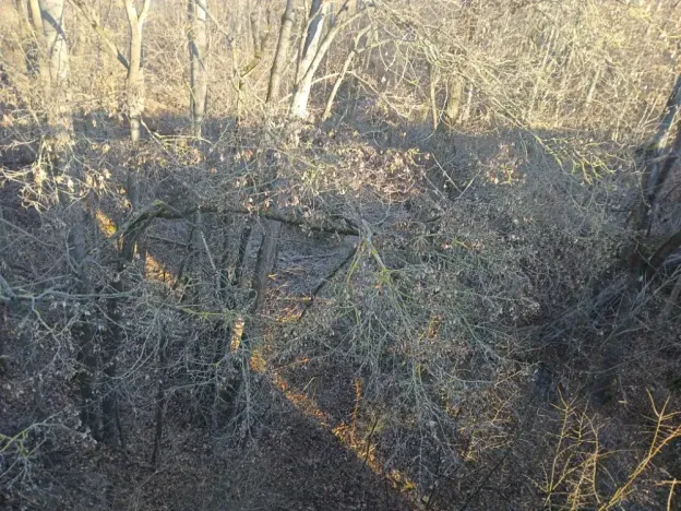 Dražba pozemku, Mladeč, 31766 m2