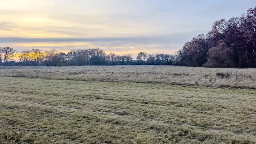 Prodej pole, Oseček, 76028 m2