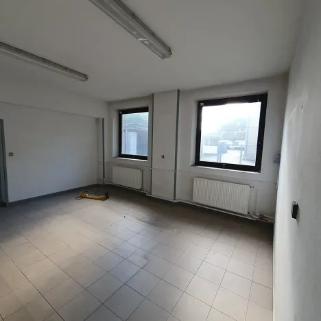 Prodej obchodního prostoru, Strážnice, 350 m2