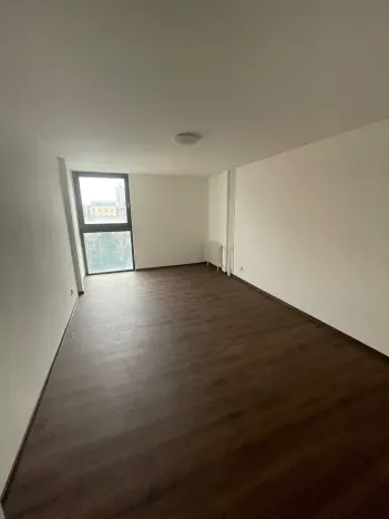 Pronájem bytu 1+kk, Liberec, Revoluční, 29 m2