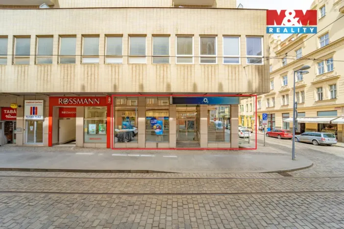 Pronájem restaurace, Plzeň - Vnitřní Město, 182 m2