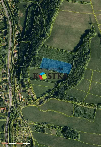 Prodej lesa, Nový Jičín, 15225 m2