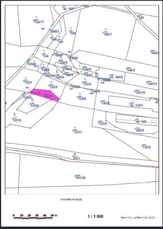 Prodej lesa, Nemile, 323 m2