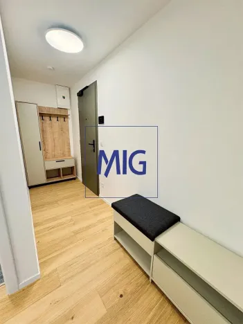 Pronájem bytu 2+kk, Brno, Bratislavská, 54 m2