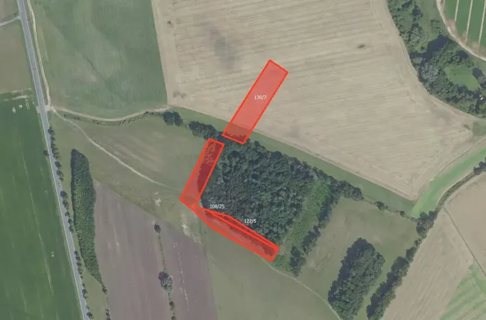 Prodej pole, Poděbrady, 25000 m2