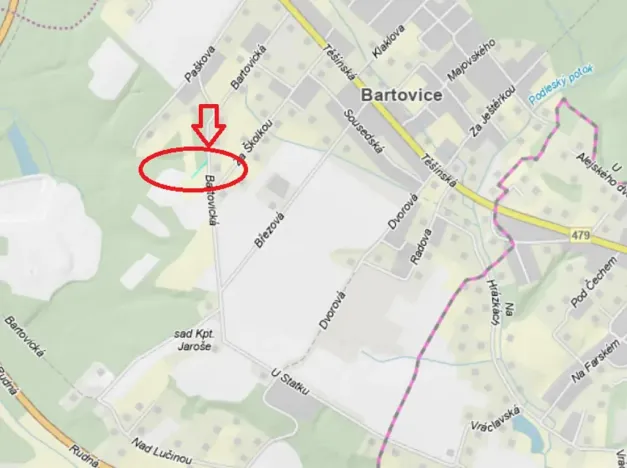 Prodej lesa, Ostrava, 8938 m2