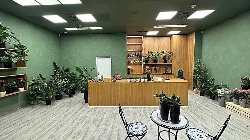 Pronájem obchodního prostoru, Brno, náměstí Svobody, 64 m2