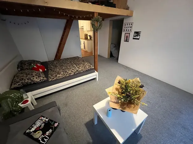 Prodej bytu 2+kk, Praha - Holešovice, Veverkova, 55 m2