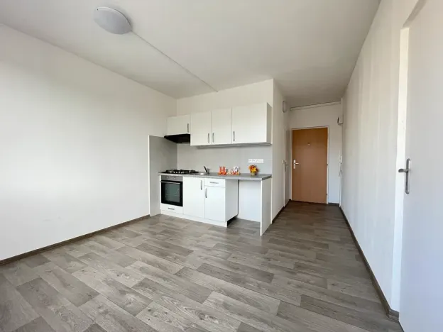 Pronájem bytu 1+1, Litvínov, Rooseveltova, 34 m2
