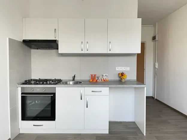 Pronájem bytu 1+1, Litvínov, Rooseveltova, 34 m2