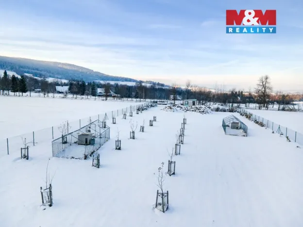 Prodej louky, Králíky - Dolní Boříkovice, 8432 m2