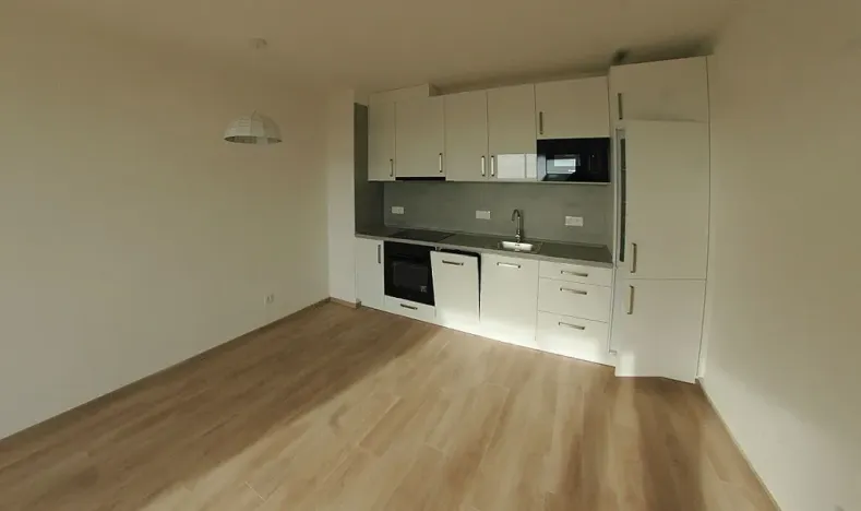 Pronájem bytu 2+kk, Plzeň, Hrachová, 43 m2