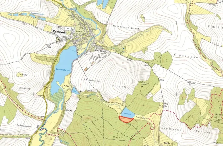 Prodej louky, Kamberk, 9783 m2