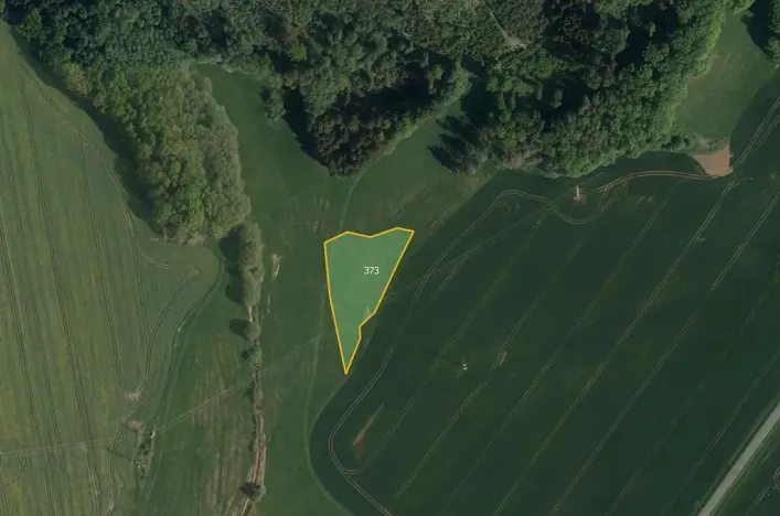 Prodej pole, Třemošnice, 41424 m2