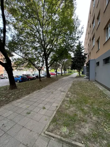Pronájem bytu 2+kk, Brno, Křídlovická, 53 m2