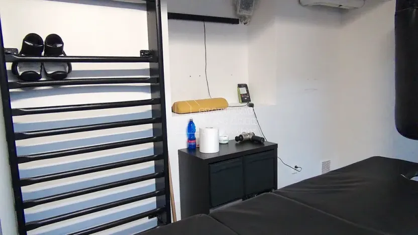 Pronájem komerční nemovitosti, Praha - Karlín, Pernerova, 358 m2