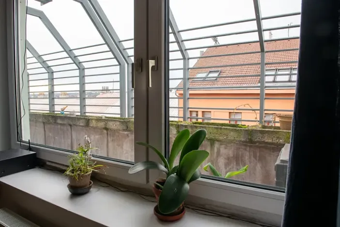 Prodej bytu 4+1, Praha - Vinohrady, Záhřebská, 87 m2