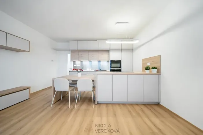 Pronájem bytu 3+kk, Brno, Rybářská, 63 m2