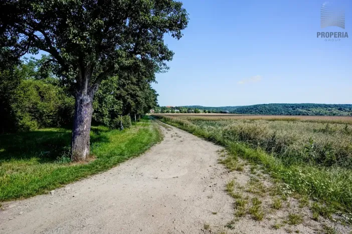 Prodej pozemku pro bydlení, Viničné Šumice, 1648 m2