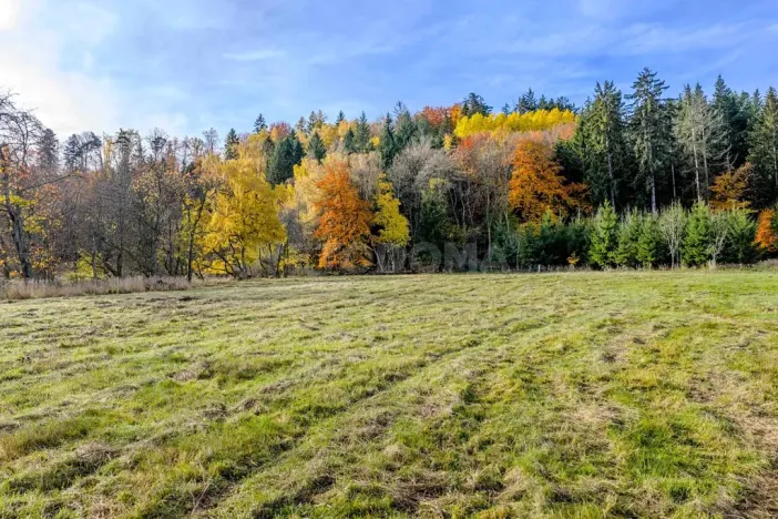 Prodej pozemku pro bydlení, Konstantinovy Lázně, 1931 m2