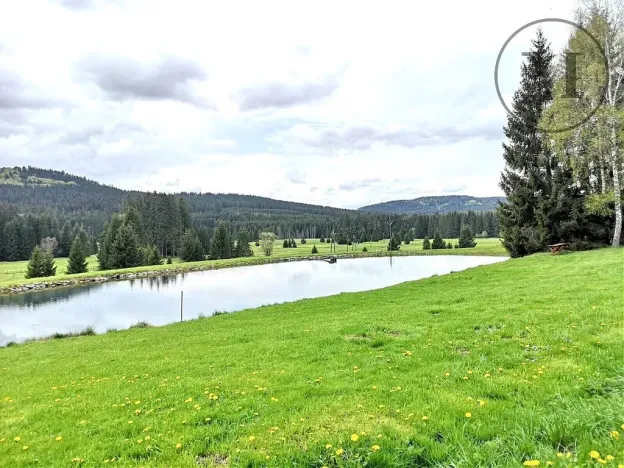 Prodej bytu 1+kk, Benešov nad Černou, 18 m2