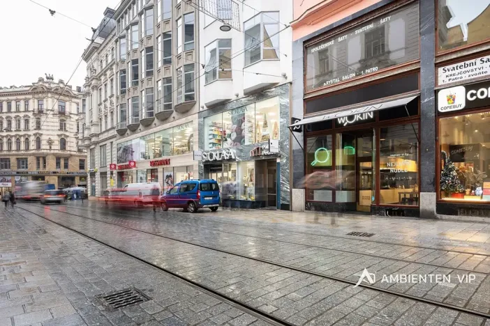 Prodej obchodního prostoru, Brno, Masarykova, 494 m2
