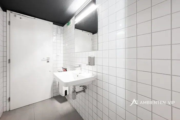 Prodej obchodního prostoru, Brno, Masarykova, 494 m2