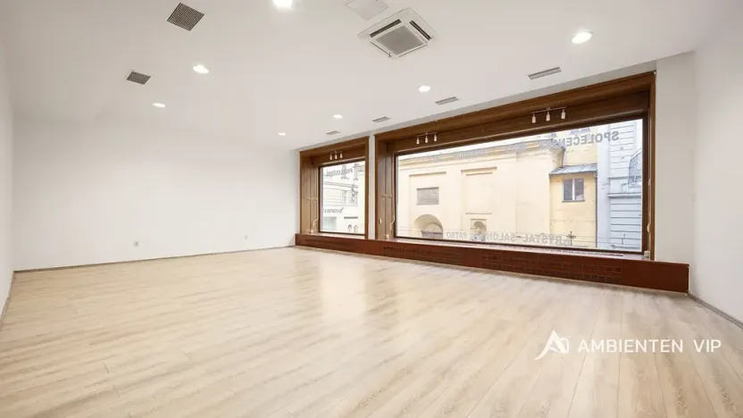 Prodej obchodního prostoru, Brno, Masarykova, 494 m2